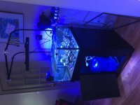 IMG_1213.jpg