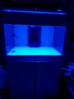 20170904_171113_resized.jpg