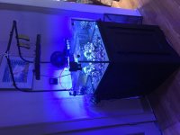 IMG_1214.jpg