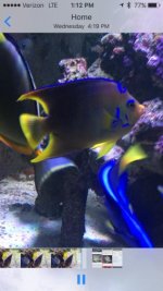 IMG_4619.jpg
