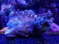 20170617_171129.jpg