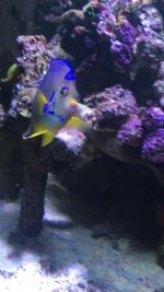IMG_4620.jpg