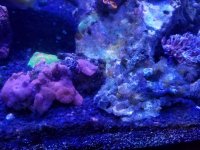 20170617_173357.jpg