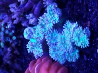 20170617_174709.jpg