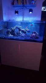 IMG_20171203_161553.jpg