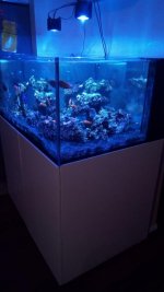 IMG_20171203_161625.jpg