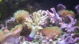 20180222_170727.jpg