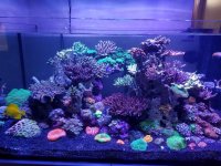 20170713_141923.jpg