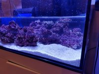 20160722_014058.jpg