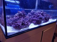 20160722_014054.jpg