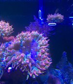 IMG_8533.jpg
