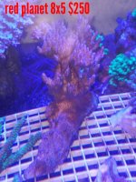 2017-09-05_11.32.01.jpg