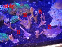 2017-09-05_11.33.06.jpg