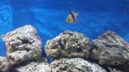20161106_150857.jpg