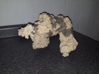 20160929_192058.jpg
