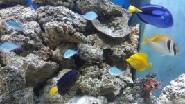 20161106_150645.jpg