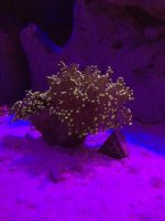 IMG_2249.jpg