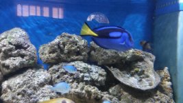 20161106_150631.jpg