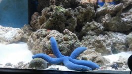 20161106_150501.jpg