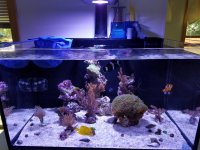 20160721_135948.jpg