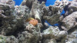 20161106_150512.jpg