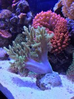 IMG_7033.jpg