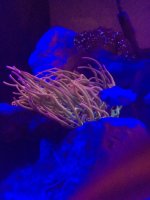 IMG_1953.jpg