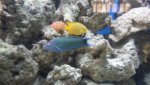 20161106_150530.jpg