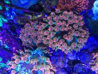 IMG_8548.jpg