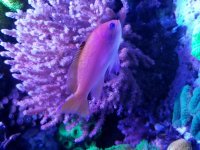 20180223_202122.jpg