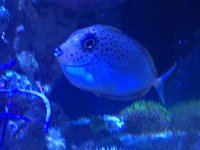 IMG_4598.jpg