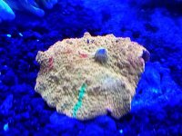 2017-09-05_23.17.16.jpg
