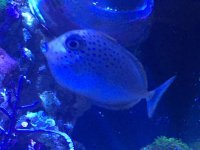 IMG_4604.jpg