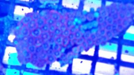 1519426350344.jpg