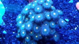 20180222_171939.jpg