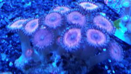 20180222_171922.jpg