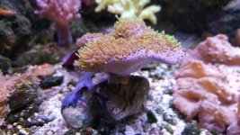 20170906_163503.jpg