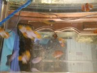 20170407_095640.jpg