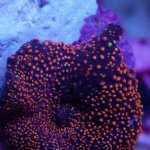 IMG_20171205_175843.jpg