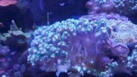 20180214_161327.jpg