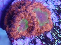 IMG_20171205_175808.jpg