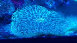 20180215_140029.jpg