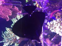 IMG_2428.jpg