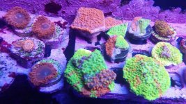IMG_20171205_175736.jpg