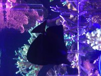IMG_2437.jpg