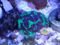 20170826_133839.jpg