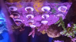 20170620_164923.jpg
