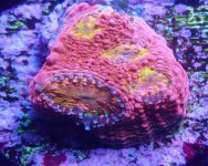 IMG_20171205_182009.jpg