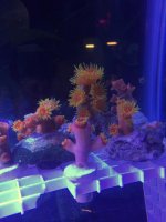 IMG_0253.jpg