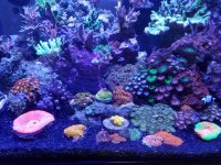 20170905_130440.jpg